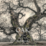 Book cover for Oak: From Seed to Ancient Tree