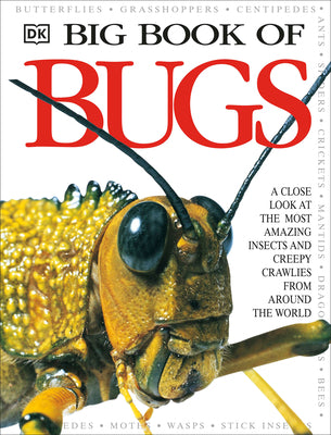 Book cover for Big Book of Bugs