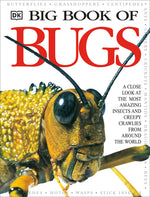 Book cover for Big Book of Bugs