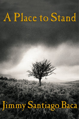 Book cover for A Place to Stand