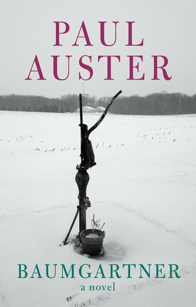 Book cover for Baumgartner