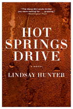 Book cover for Hot Springs Drive
