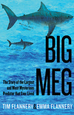 Book cover for Big Meg: The Story of the Largest and Most Mysterious Predator That Ever Lived