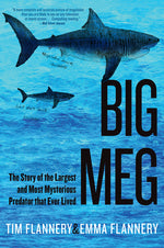 Book cover for Big Meg: The Story of the Largest and Most Mysterious Predator That Ever Lived