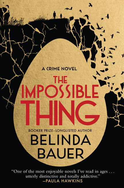 Book cover for Impossible Thing