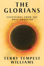 Book cover for Glorians: Visitations from the Holy Ordinary
