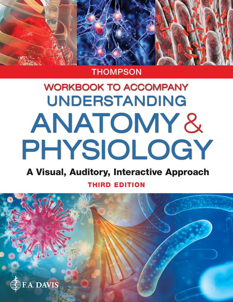 Book cover for Workbook to Accompany Understanding Anatomy & Physiology: A Visual, Auditory, Interactive Approach