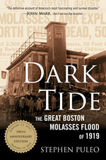 Book cover for Dark Tide: The Great Boston Molasses Flood of 1919