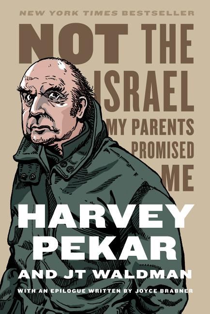 Book cover for Not the Israel My Parents Promised Me