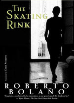 Book cover for Skating Rink