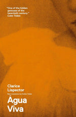 Book cover for Água Viva