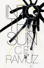 Book cover for Into the Sun