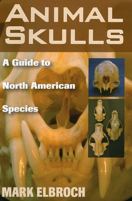 Book cover for Animal Skulls