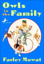 Book cover for Owls in the Family