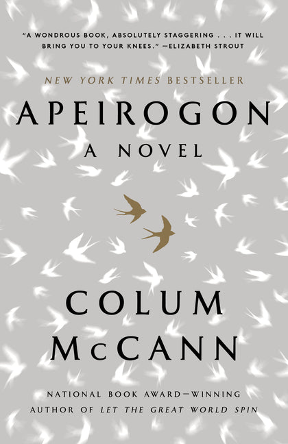 Book cover for Apeirogon: A Novel