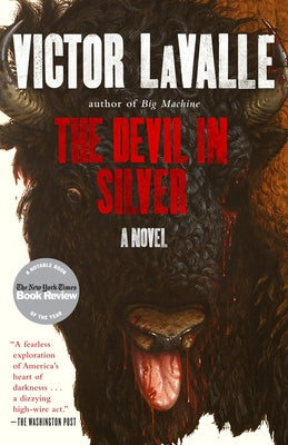 Book cover for The Devil in Silver