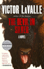 Book cover for The Devil in Silver