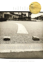 Book cover for The Theory of Light and Matter: Stories