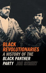 Book cover for Black Revolutionaries: A History of the Black Panther Party