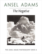 Book cover for The Negative