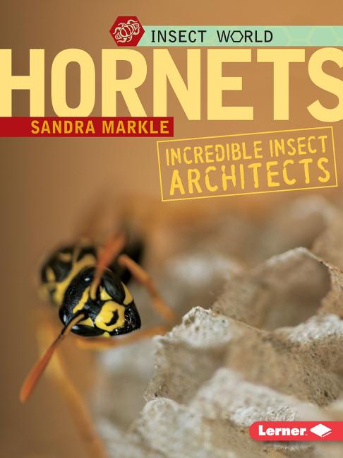 Book cover for Hornets: Incredible Insect Architects