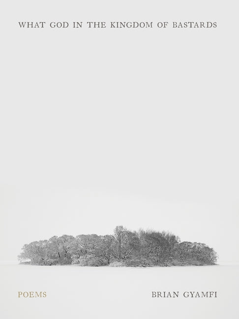 Book cover for What God in the Kingdom of Bastards: Poems