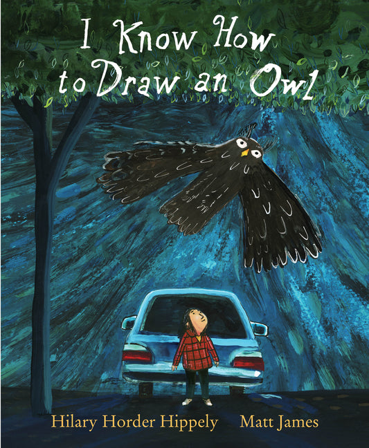 Book cover for I Know How to Draw an Owl