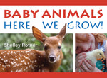 Book cover for Baby Animals!: Here We Grow