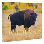 Book cover for Conserving America's Wildlands: The Vision of Ted Turner