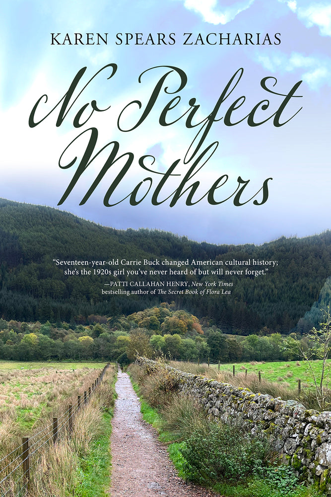Book cover for No Perfect Mothers