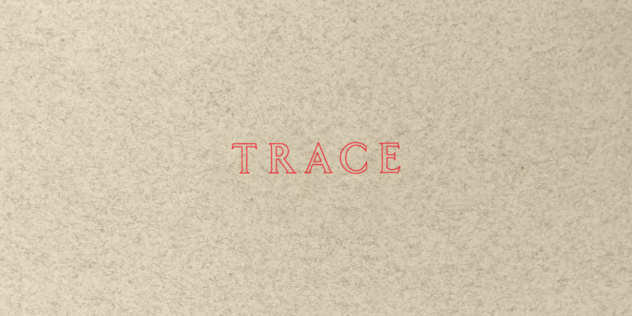 Book cover for Jenny Holzer: Trace