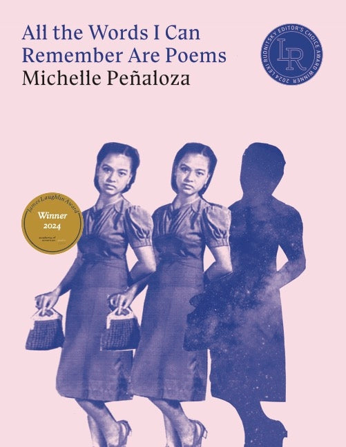 Book cover for All the Words I Can Remember Are Poems
