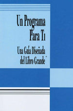 Book cover for Un Programa Para Ti (a Program for You Book): Una Guia Disenada del Libro Grande