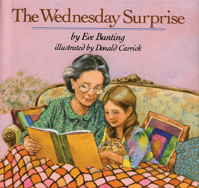 Book cover for Wednesday Surprise