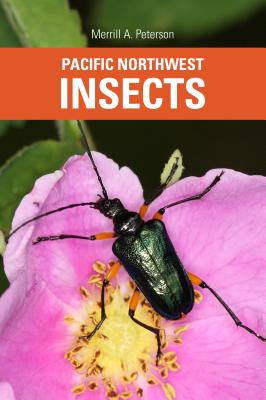 Book cover for Pacific Northwest Insects