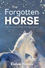 Book cover for Forgotten Horse - Book 1 in the Connemara Horse Adventure Series for Kids. The perfect gift for children age 8-12.
