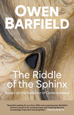 Book cover for Riddle of the Sphinx: Essays on the Evolution of Consciousness
