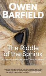 Book cover for Riddle of the Sphinx: Essays on the Evolution of Consciousness