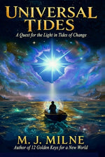 Book cover for Universal Tides: Barbed Wire Blues - A Quest for the Light in Tides of Change