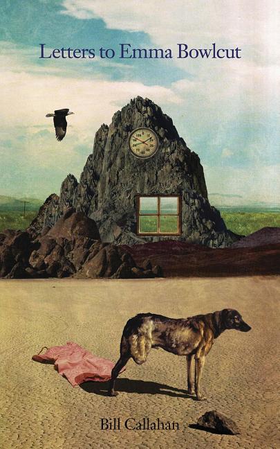 Book cover for Letters to Emma Bowlcut