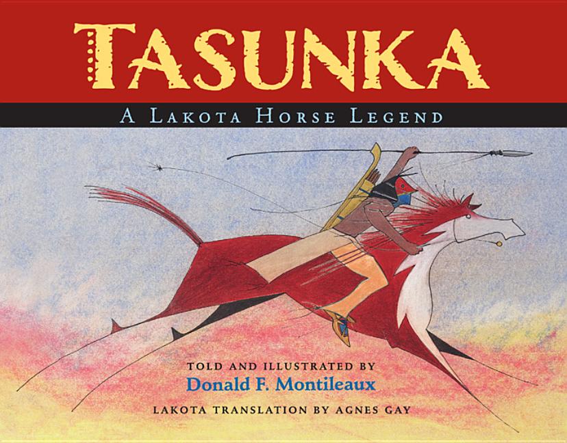 Book cover for Tasunka