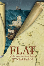 Book cover for Flat: An edgy voyage of accidental discovery