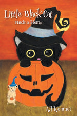Book cover for Little Black Cat Finds a Home