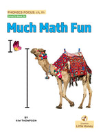 Book cover for Much Math Fun