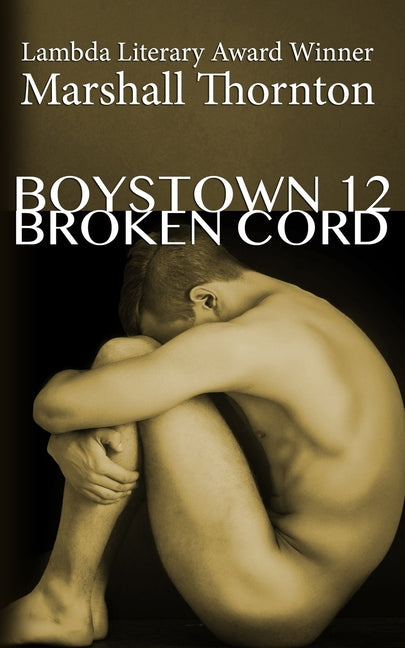 Book cover for Boystown 12: Broken Cord