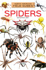 Book cover for Spiders