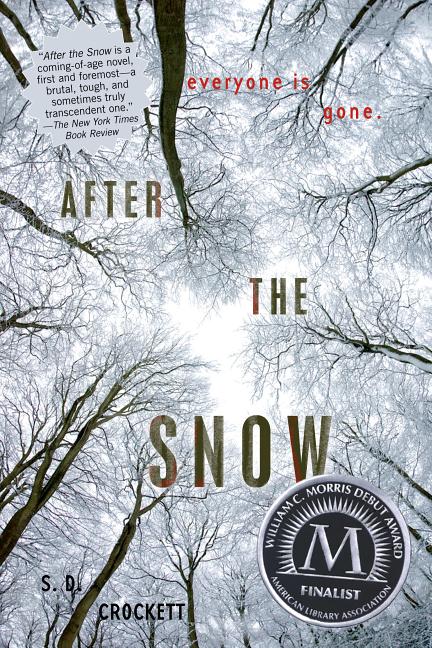 Book cover for After the Snow