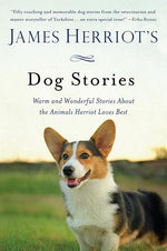 Book cover for James Herriot's Dog Stories: Warm and Wonderful Stories about the Animals Herriot Loves Best
