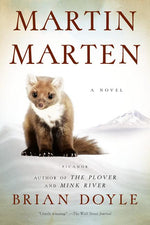 Book cover for Martin Marten