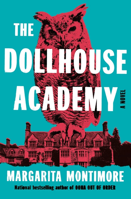 Book cover for Dollhouse Academy